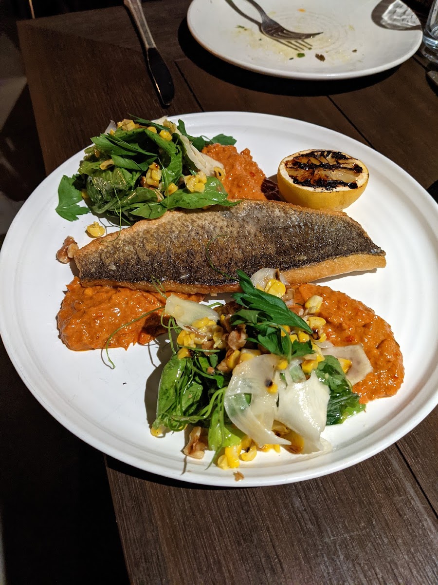 The Lark Santa Barbara-9